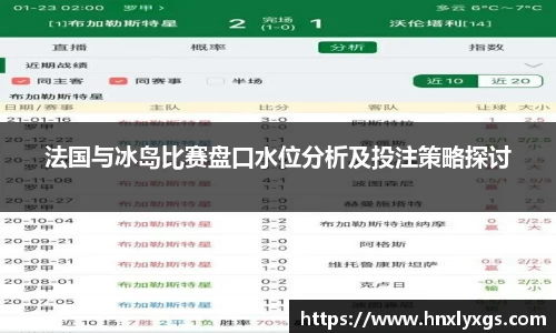 法国与冰岛比赛盘口水位分析及投注策略探讨